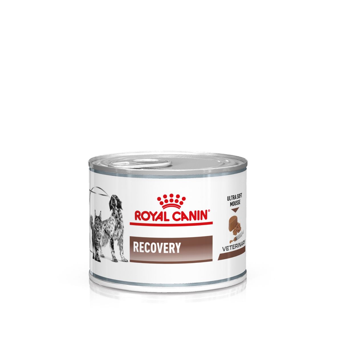  Royal Canin Recovery Hund Und Katze 12 X 195 G Recovery Dosen