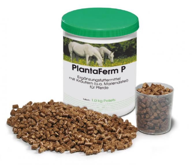  PlantaVet PlantaFerm P Für Pferde 1,2 Kg Pellets Dose Für Pferde