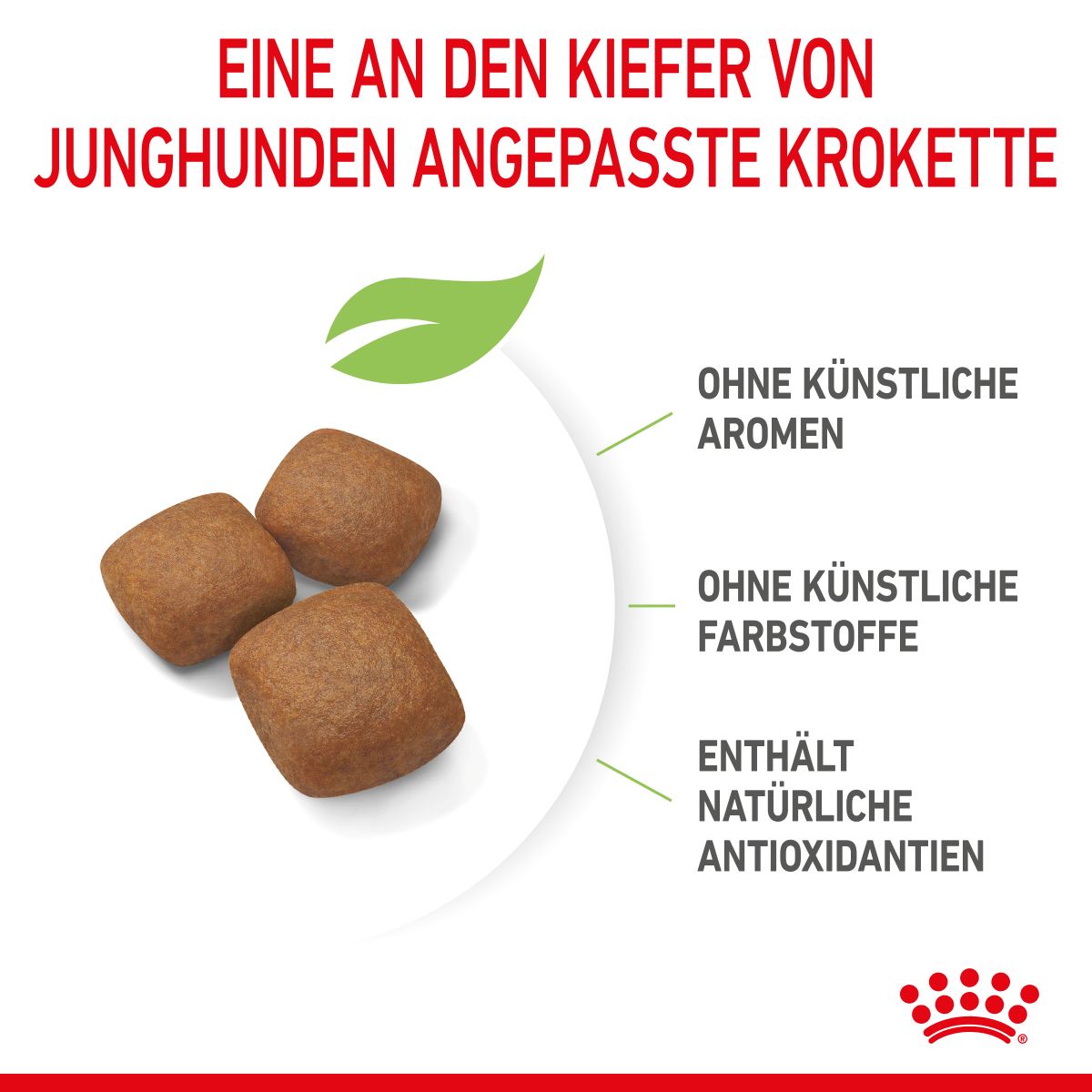  Royal Canin Giant Junior Welpenfutter Für Sehr Große Hunde 15 Kg Trockenfutter Für Hunde
