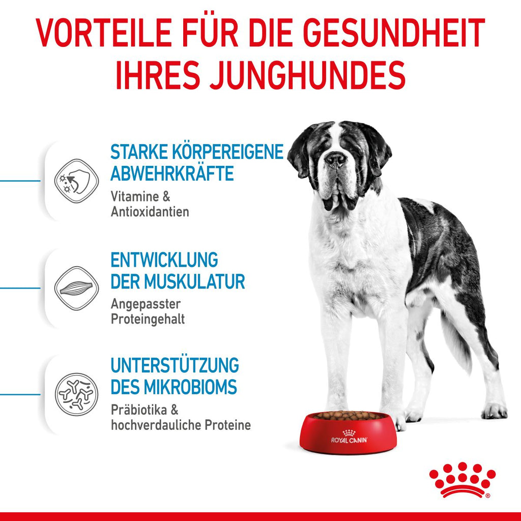  Royal Canin Giant Junior Welpenfutter Für Sehr Große Hunde 15 Kg Trockenfutter Für Hunde