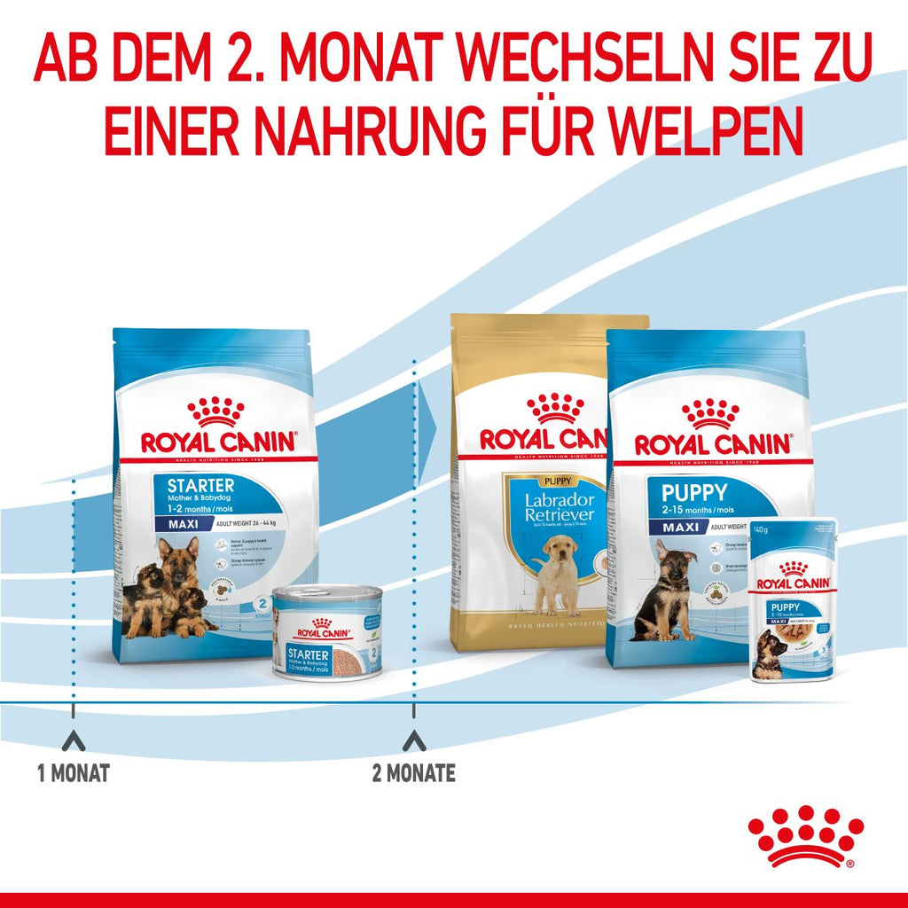  Royal Canin Maxi Starter Trockenfutter 15 Kg Trockenfutter Für Hunde