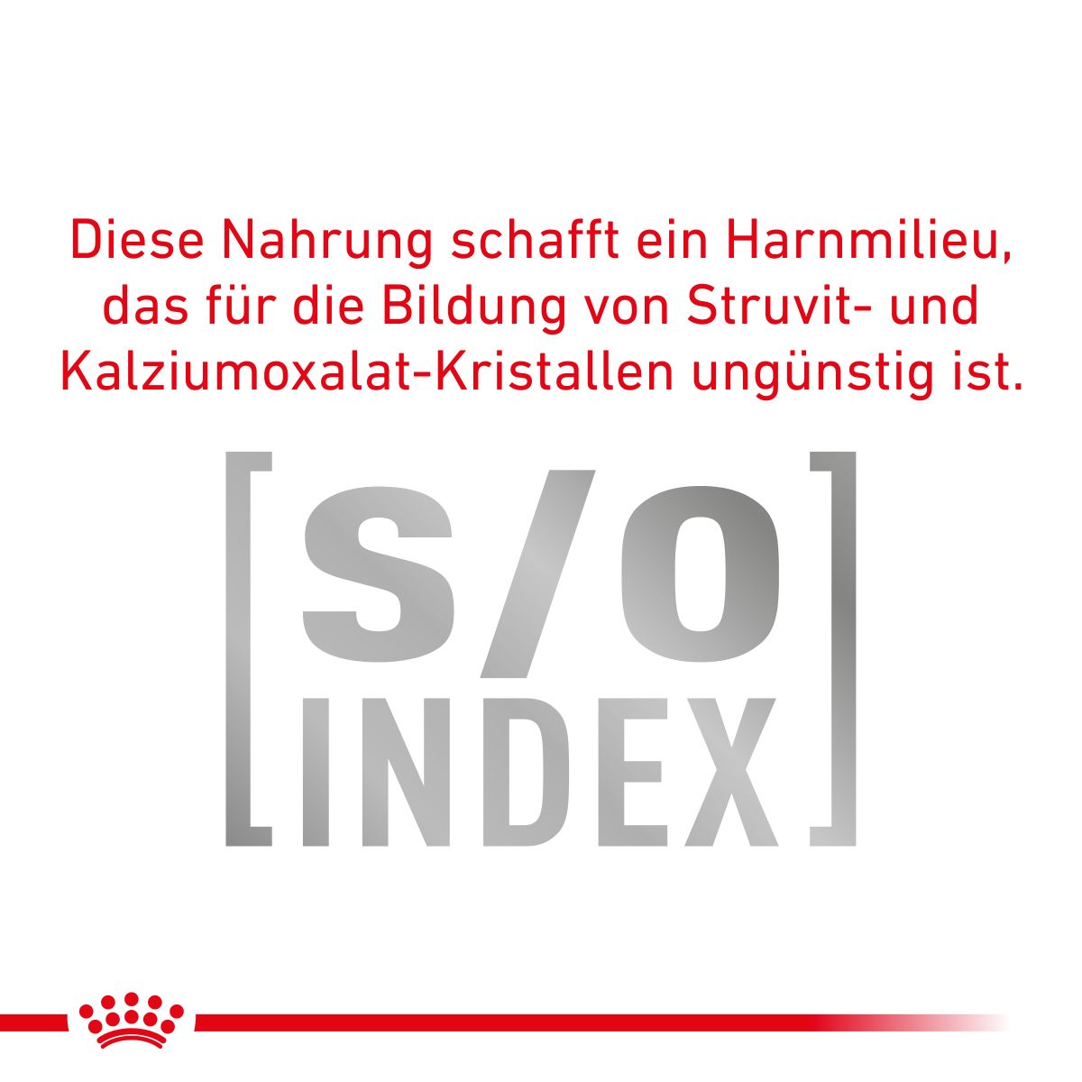  Royal Canin Mature Consult Katze Frischebeutel 12 X 85 G Frischebeutel Für Katzen