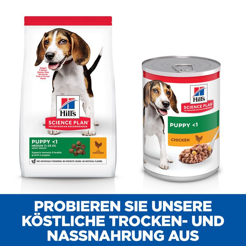  Hills Science Plan Canine Hund Puppy Huhn Dosenfutter 12 X 370 G Dosenfutter Mit Huhn