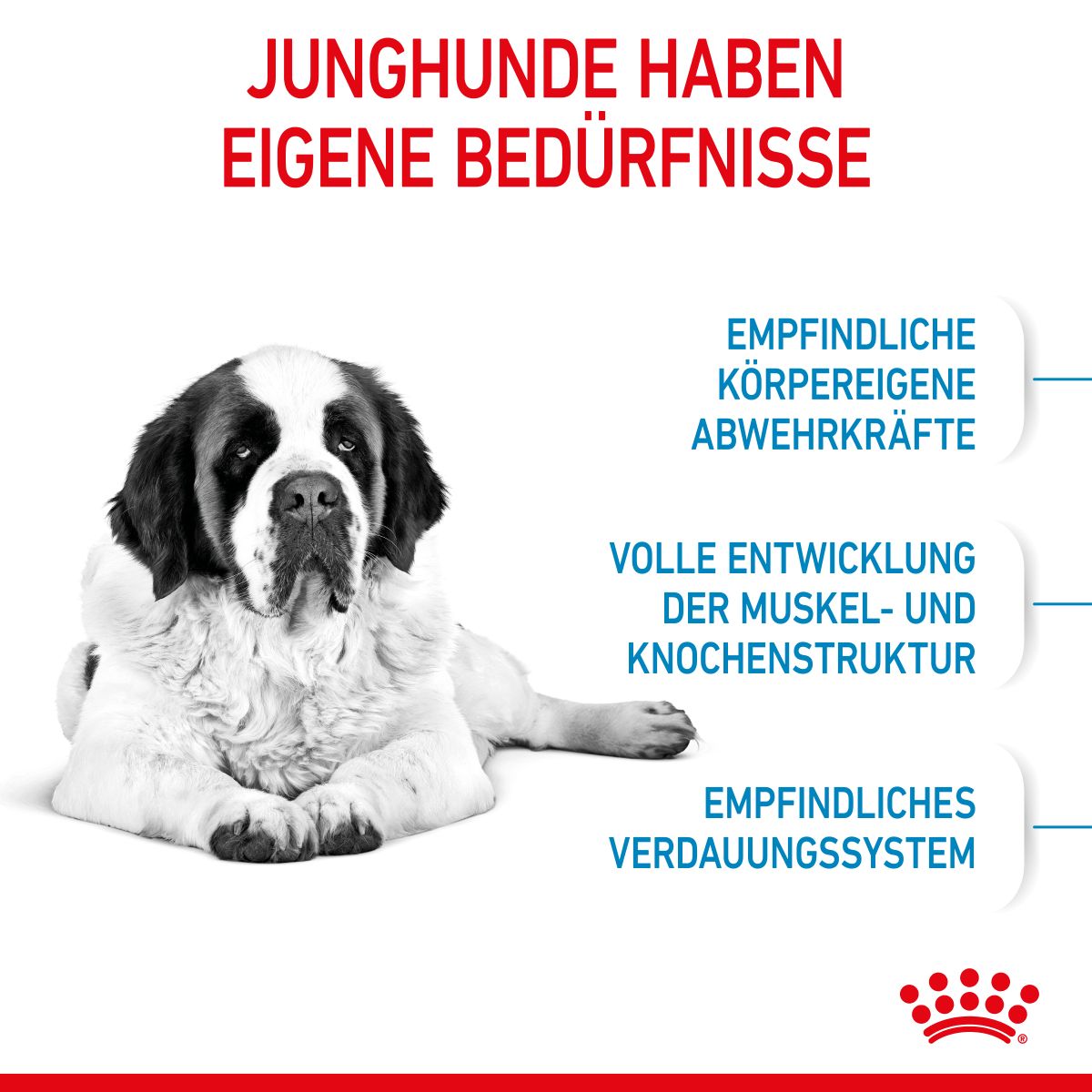  Royal Canin Giant Junior Welpenfutter Für Sehr Große Hunde 15 Kg Trockenfutter Für Hunde
