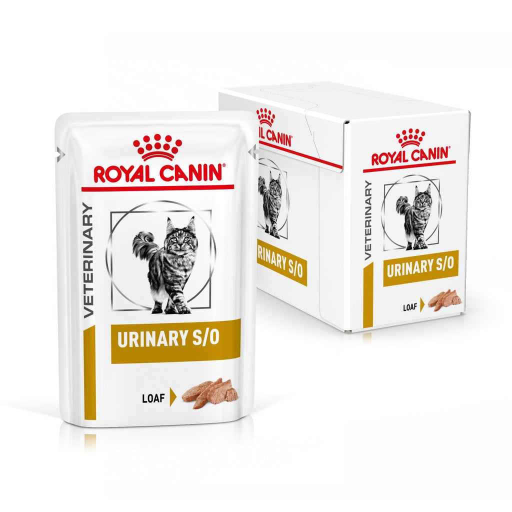  Royal Canin Urinary S/O Katze Mousse Frischebeutel 12 X 85 G Loaf (Mousse) Frischebeutel Für Katzen