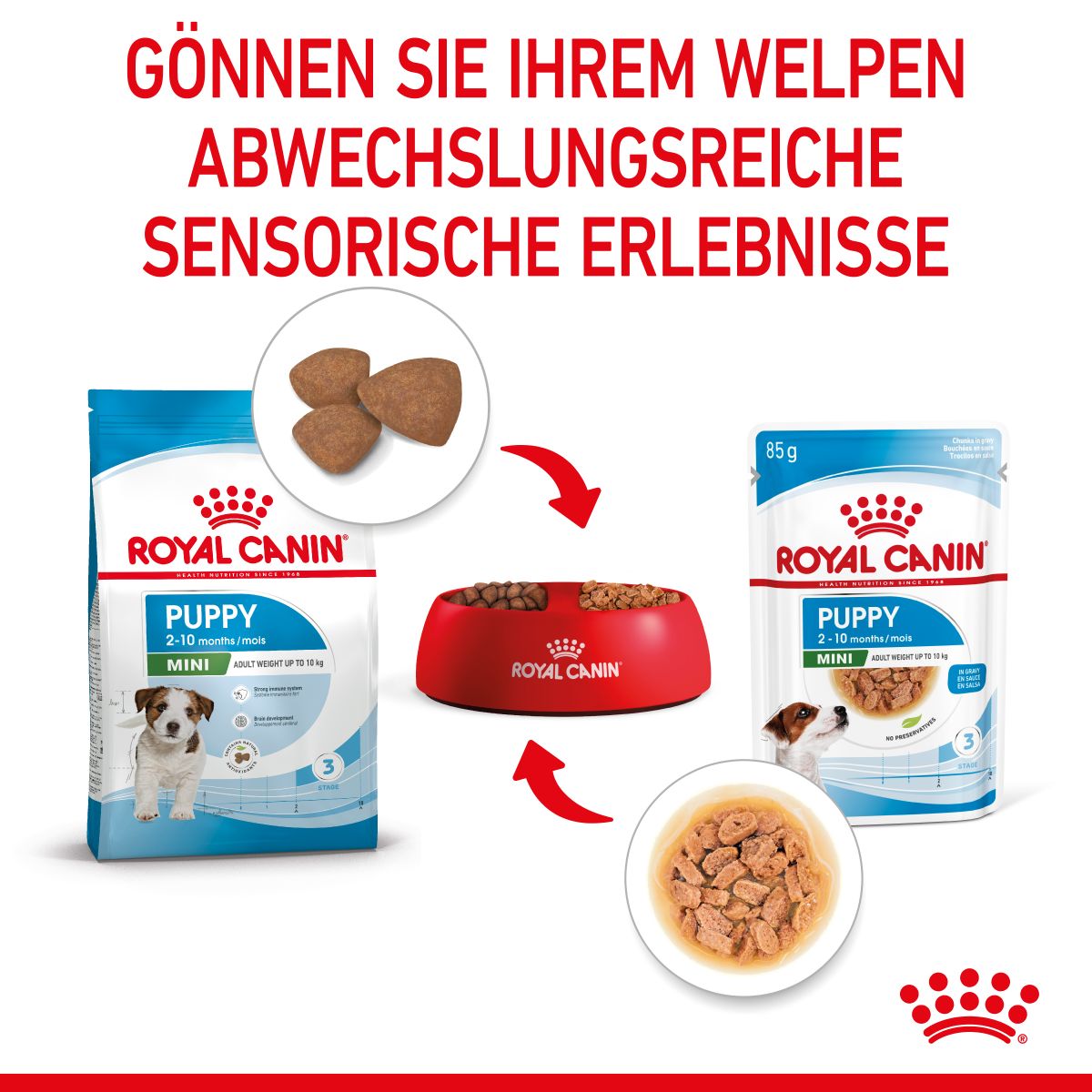  Royal Canin Mini Puppy Frischebeutel 12 X 85 G Frischebeutel Für Hunde