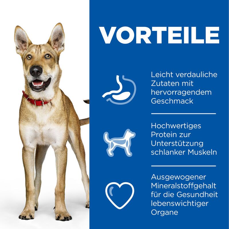  Hills Science Plan Canine Adult Performance Huhn Trockenfutter Für Hunde 14 Kg Trockenfutter