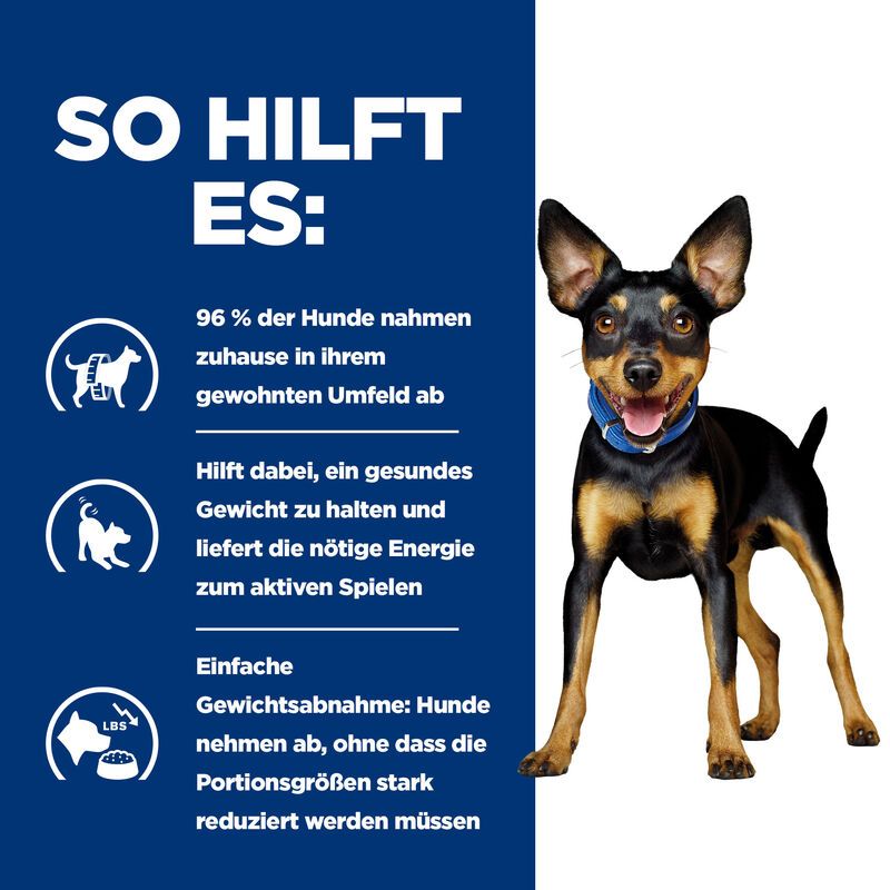  Hills Canine Metabolic Mini Ragout In Dosen Für Hunde 24 X 156g Ragout In Dosen