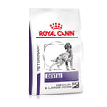  Royal Canin Dental Medium & Large Dogs Trockenfutter Für Hunde 6 Kg Trockenfutter Für Hunde
