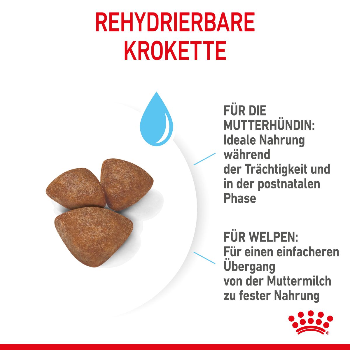  Royal Canin Mini Starter Trockenfutter 4 Kg Trockenfutter