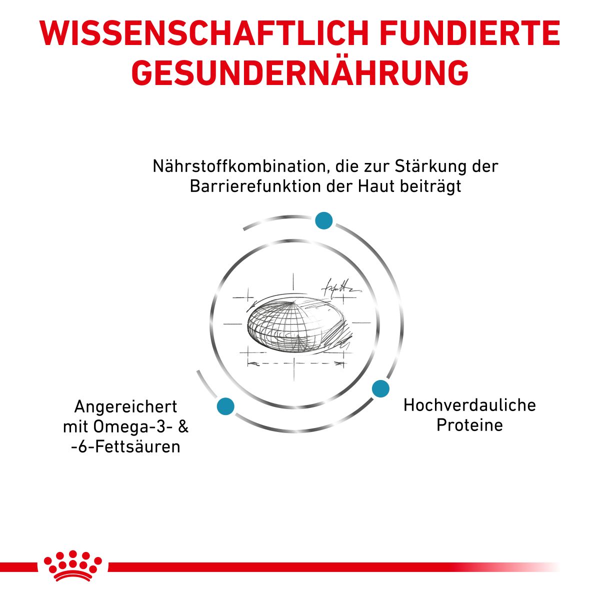  Royal Canin Skin Care Trockenfutter Für Hunde 2 Kg Trockenfutter Für Hunde