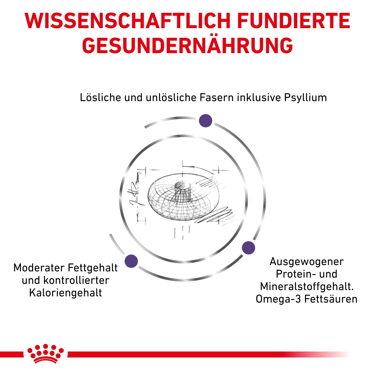  Royal Canin Neutered Adult Large Dogs Trockenfutter Für Hunde 12 Kg Trockenfutter Für Hunde