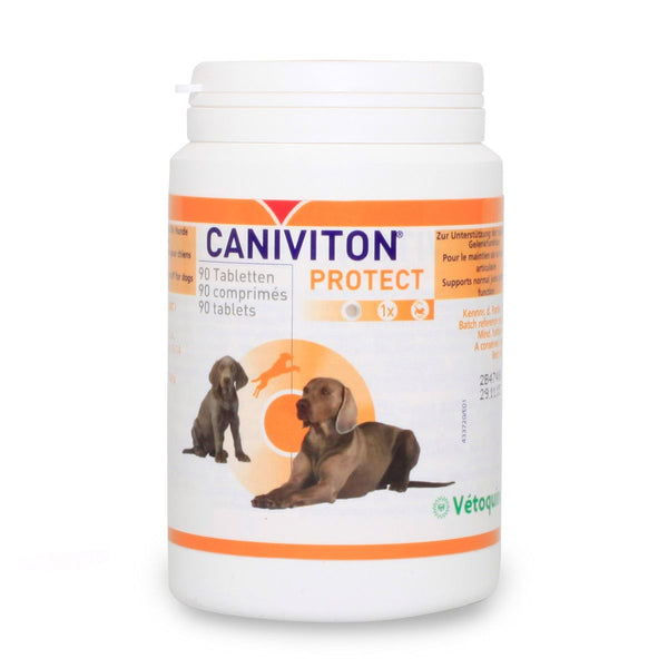  Vetoquinol Caniviton Protect Kautabletten 30 Stück Caniviton Protect