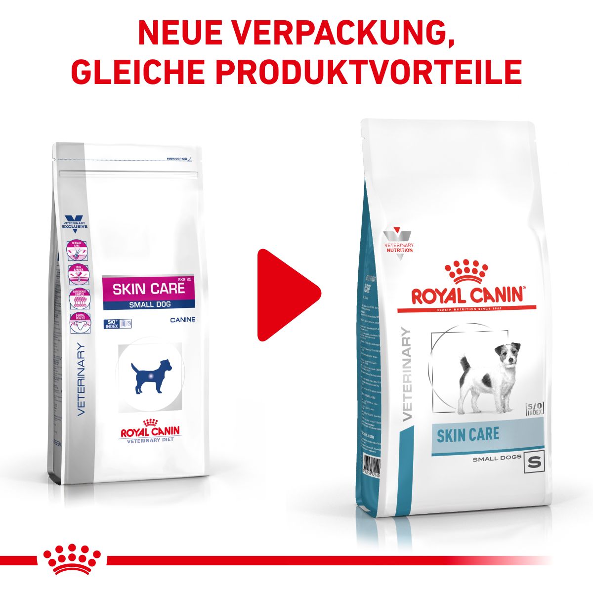  Royal Canin Skin Care Small Dogs Trockenfutter 2 Kg Trockenfutter Für Hunde
