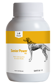  VetVital Vicano Senior Power Tabs Für ältere Hunde 150 Tabletten Dose Für Hunde