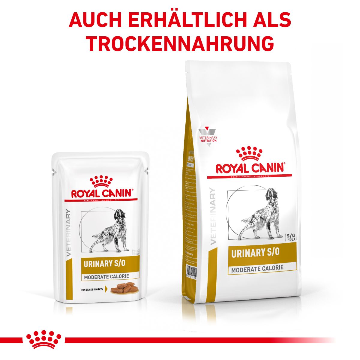  Royal Canin Urinary S/O Moderate Calorie Hund Frischebeutel 12 X 100 G Frischebeutel Für Hunde