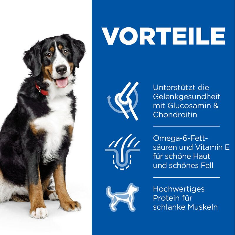  Hills Science Plan Canine Adult Large Breed Hund Trockenfutter 14 Kg Trockenfutter Mit Huhn