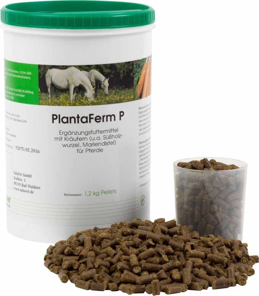  PlantaVet PlantaFerm P Für Pferde 1,2 Kg Pellets Dose Für Pferde