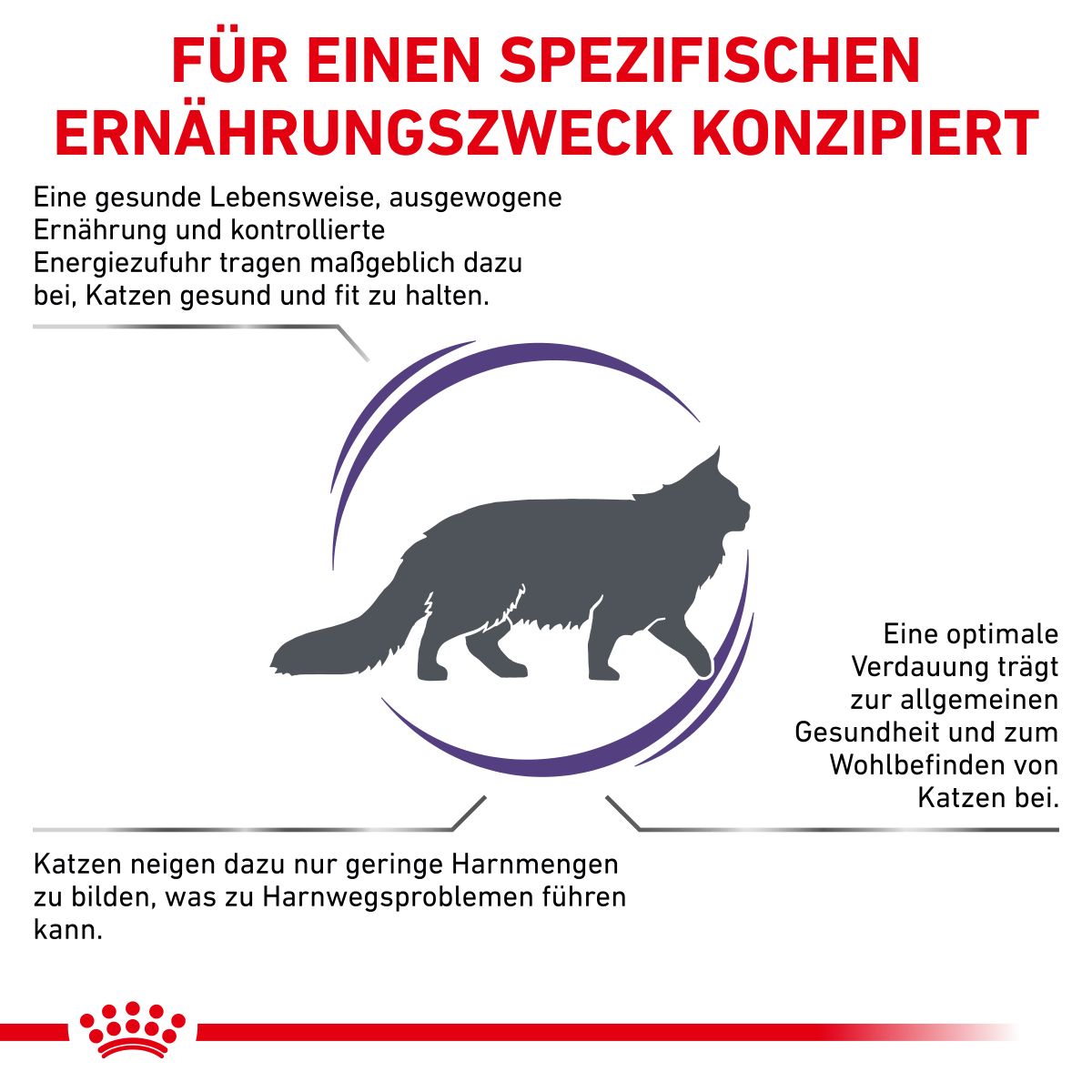  Royal Canin Adult Trockenfutter Für Katzen 2 Kg Trockenfutter Für Katzen