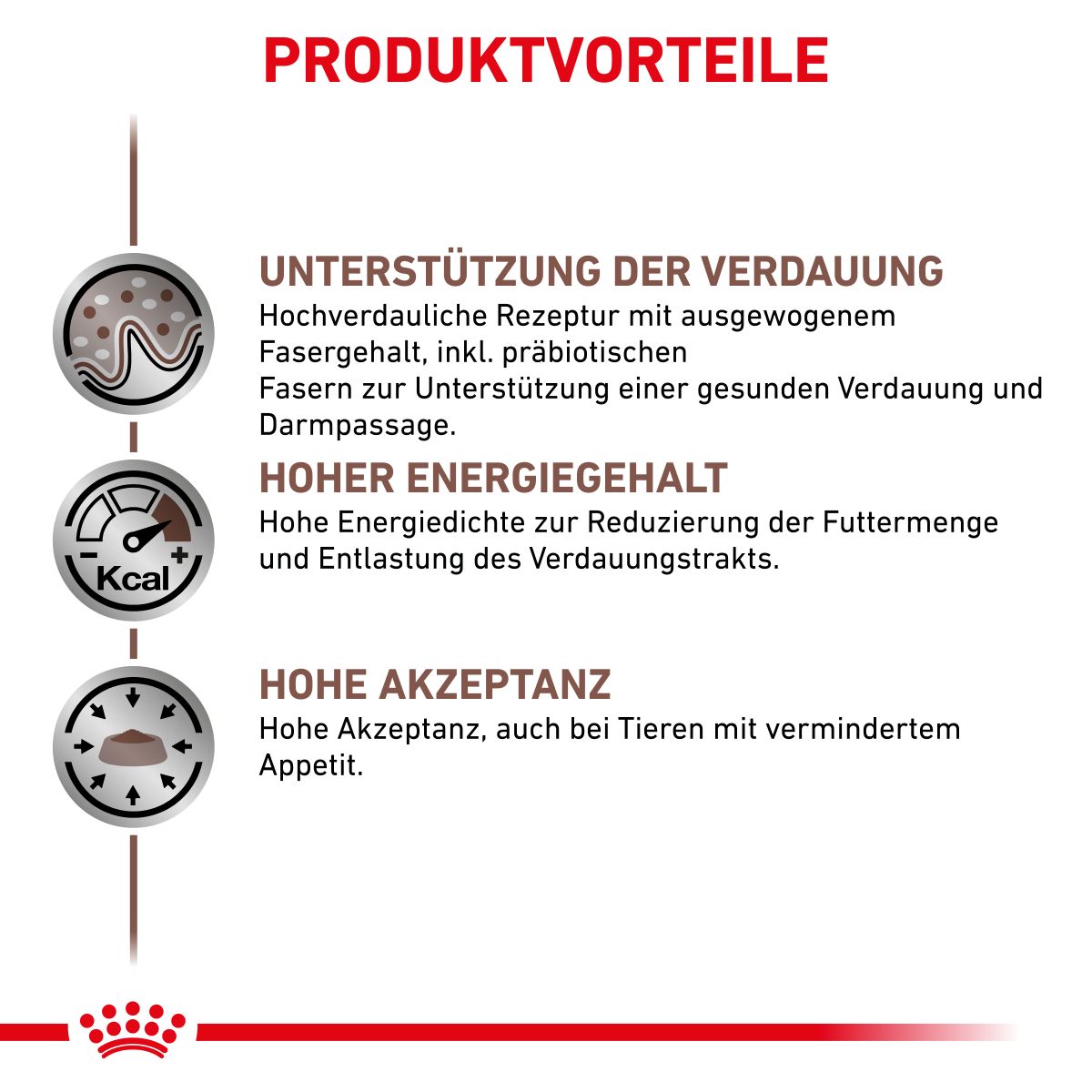  Royal Canin Gastrointestinal Dosenfutter Für Hunde 12 X 400 G Dosenfutter Für Hunde