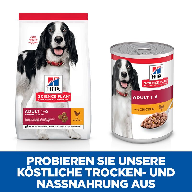  Hills Science Plan Canine Adult Huhn Dosenfutter Für Hunde 12 X 370 G Dosenfutter Mit Huhn