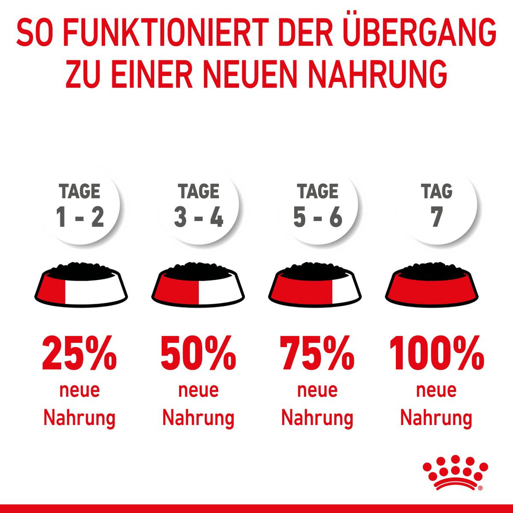  Royal Canin Kitten Frischebeutel Mit Gelee 12 X 85 G In Gelee Frischebeutel