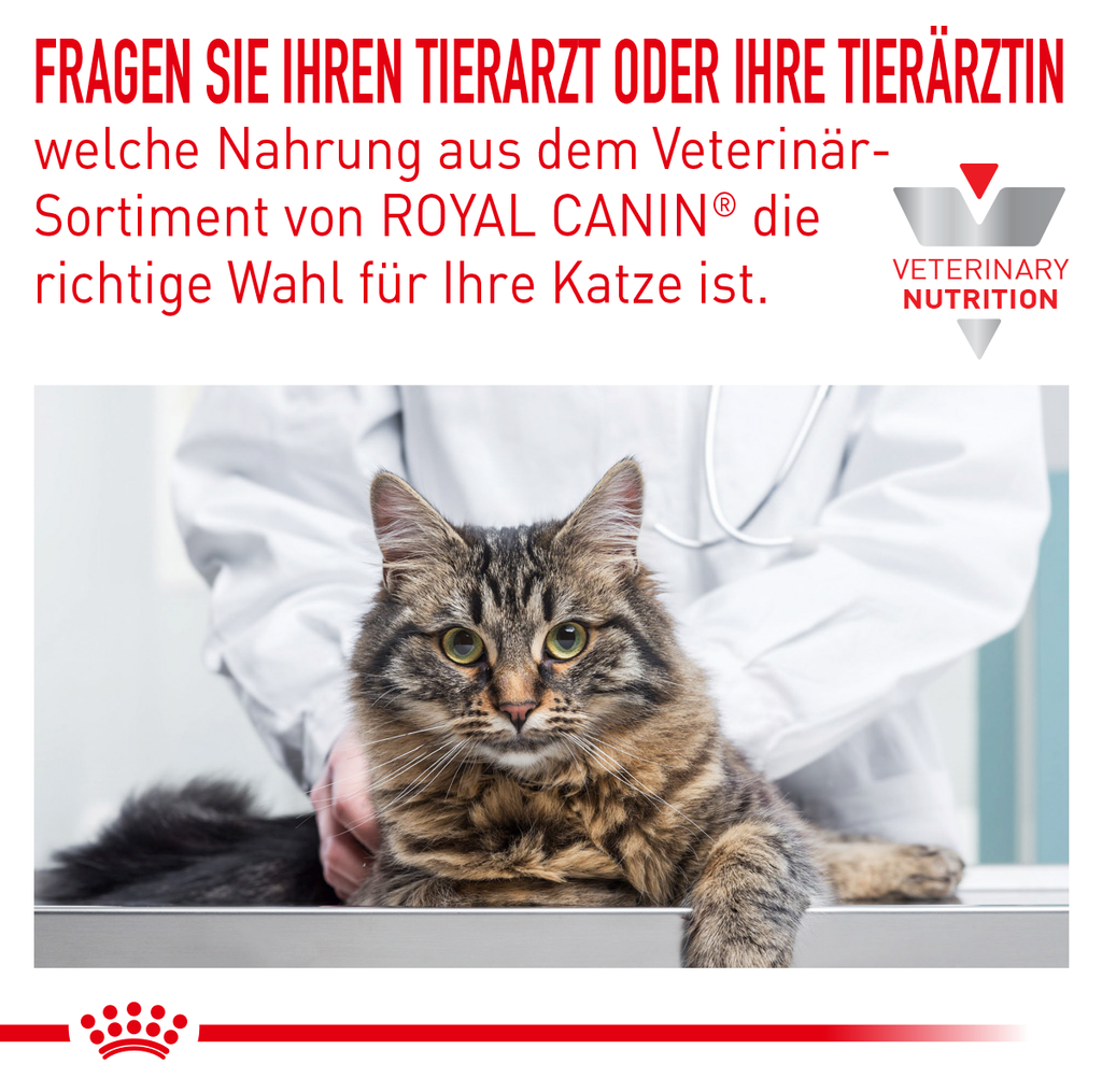  Royal Canin Skin & Coat Frischebeutel Für Katzen 12 X 85 G Frischebeutel Für Katzen