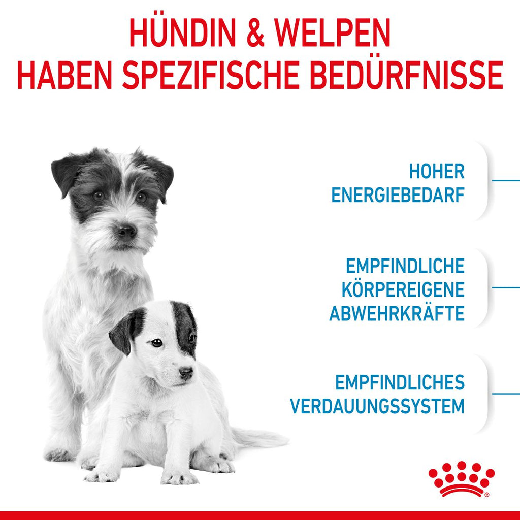  Royal Canin Mini Starter Trockenfutter 4 Kg Trockenfutter