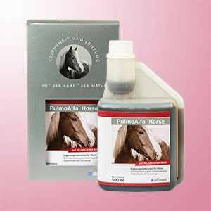  Alfavet PulmoAlfa Horse Pferd 500 Ml Flasche