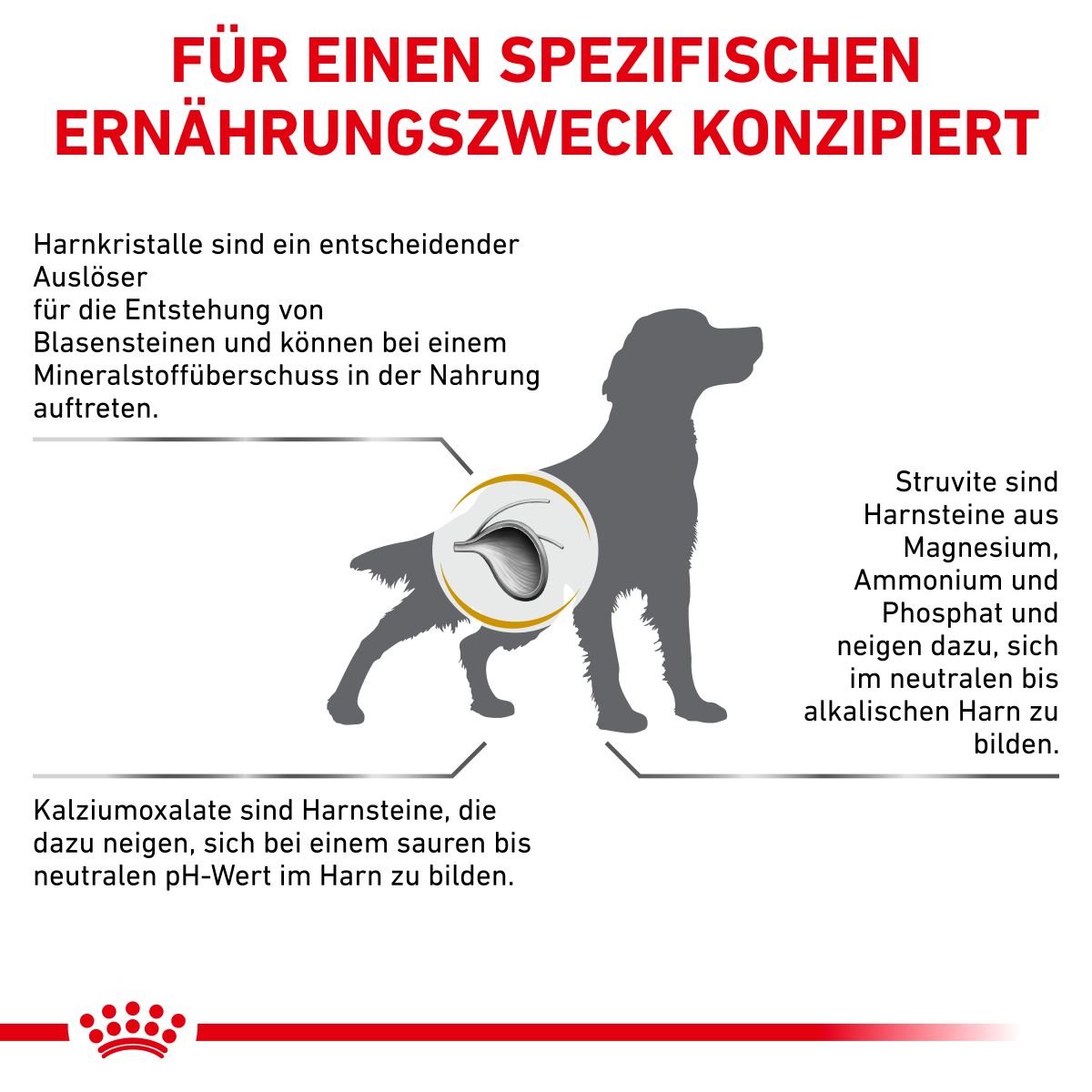  Royal Canin Urinary S/O Trockenfutter Für Hunde 2 Kg Trockenfutter Für Hunde