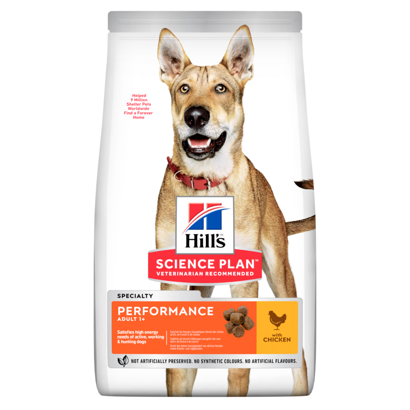  Hills Science Plan Canine Adult Performance Huhn Trockenfutter Für Hunde 14 Kg Trockenfutter