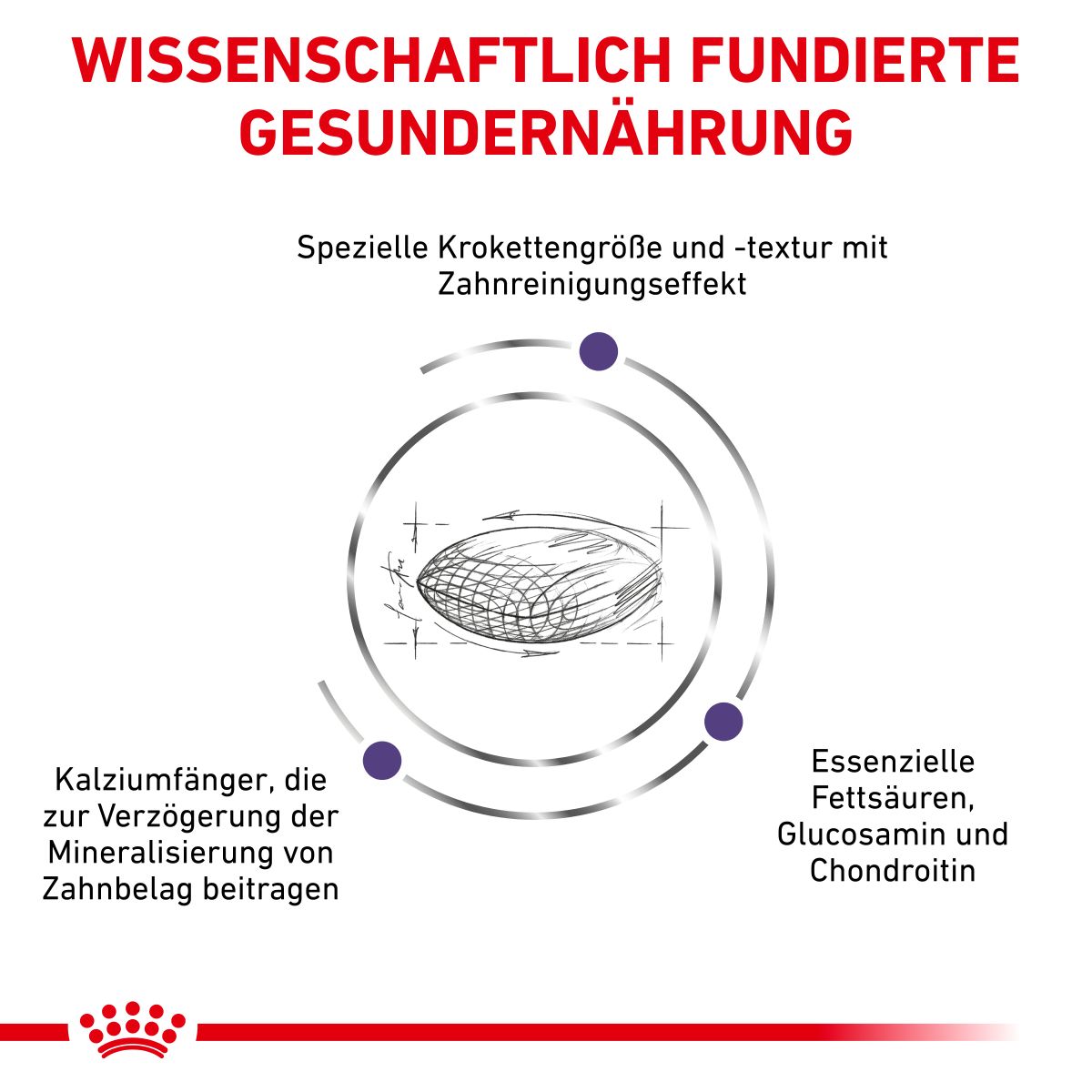  Royal Canin Dental Medium & Large Dogs Trockenfutter Für Hunde 6 Kg Trockenfutter Für Hunde