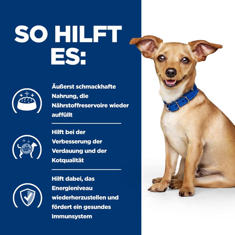 Hills I/d Ragout In Kleinen Dosen Für Hunde 24 X 156 G Dosenfutter Ragout Für Hunde