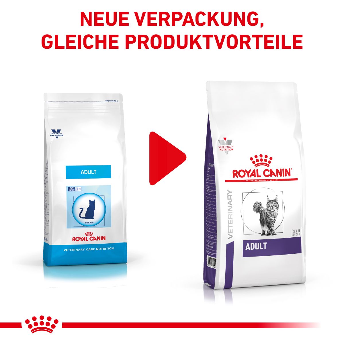  Royal Canin Adult Trockenfutter Für Katzen 2 Kg Trockenfutter Für Katzen
