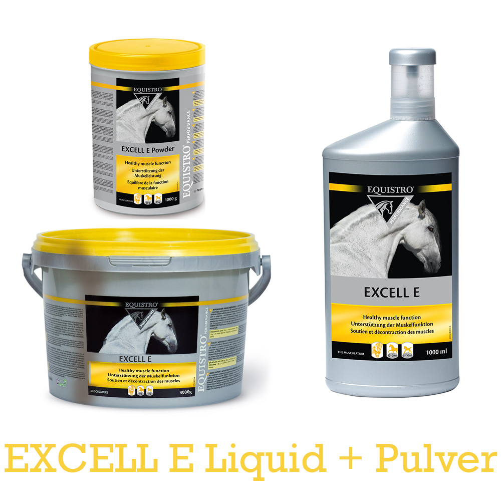  EQUISTRO Excell E Fürs Pferd 1000 G Dose Excell E Powder