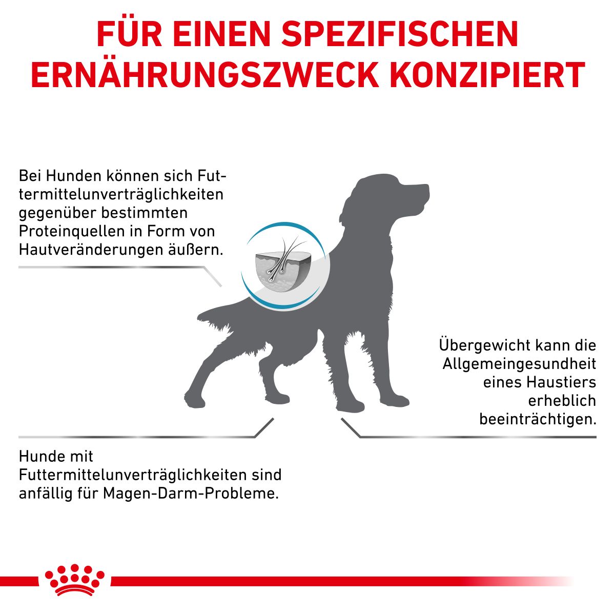  Royal Canin Hypoallergenic Moderate Calorie Trockenfutter Für Hunde 1,5 Kg Trockenfutter Für Hunde