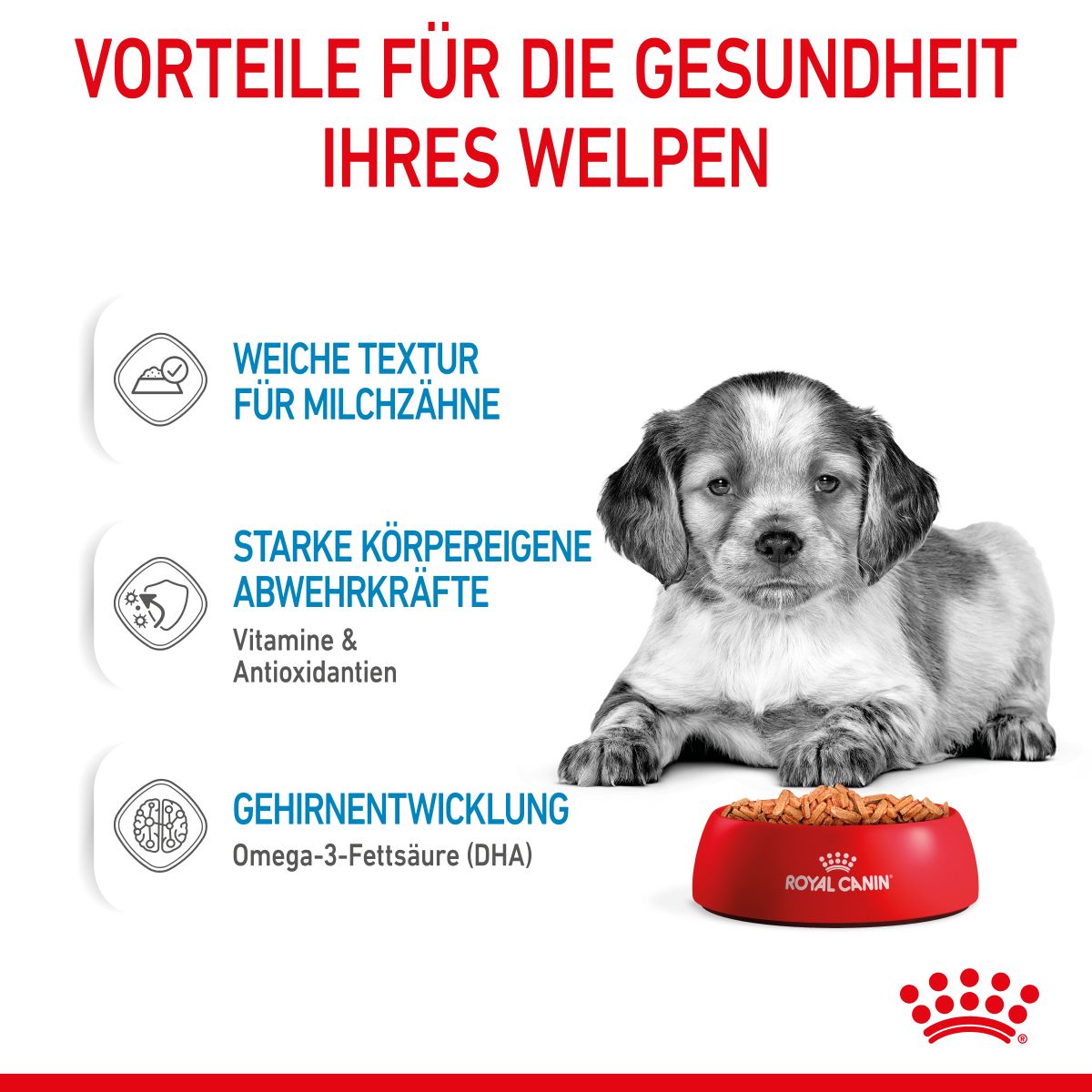  Royal Canin Medium Puppy Frischebeutel 10 X 140 G Frischebeutel Für Hunde