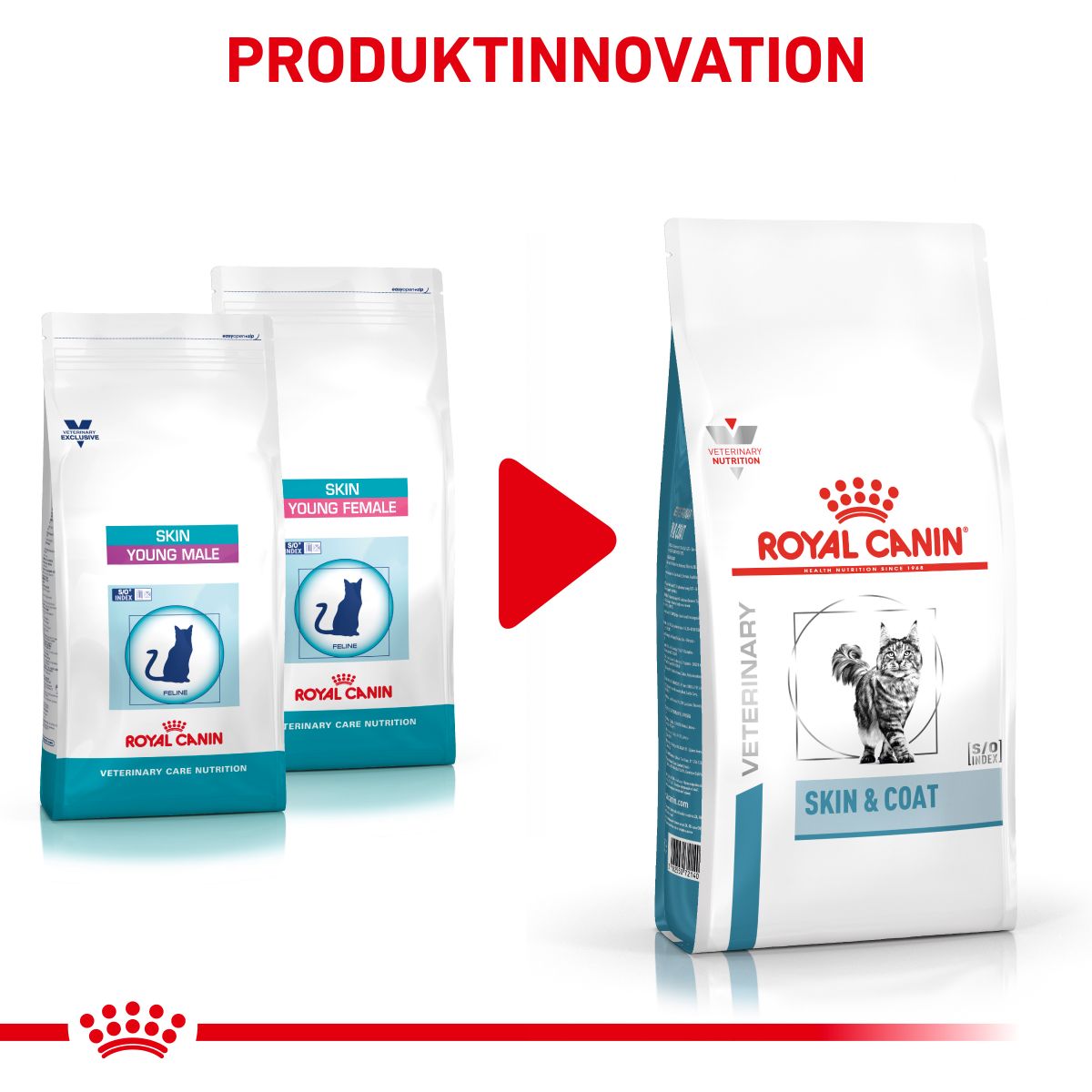  Royal Canin Skin & Coat Trockenfutter Für Katzen 1,5 Kg Trockenfutter Für Katzen