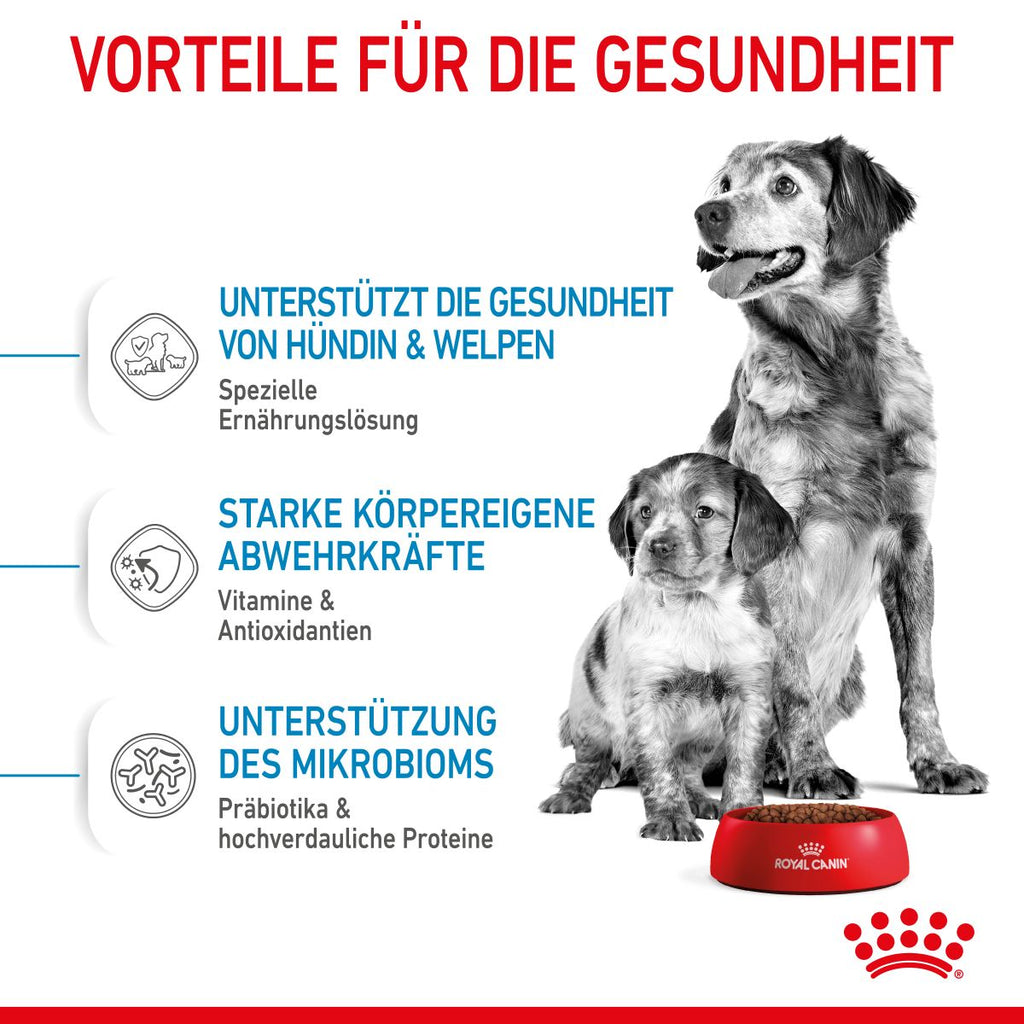 Royal Canin Medium Starter Trockenfutter 15 Kg Trockenfutter Für Hunde
