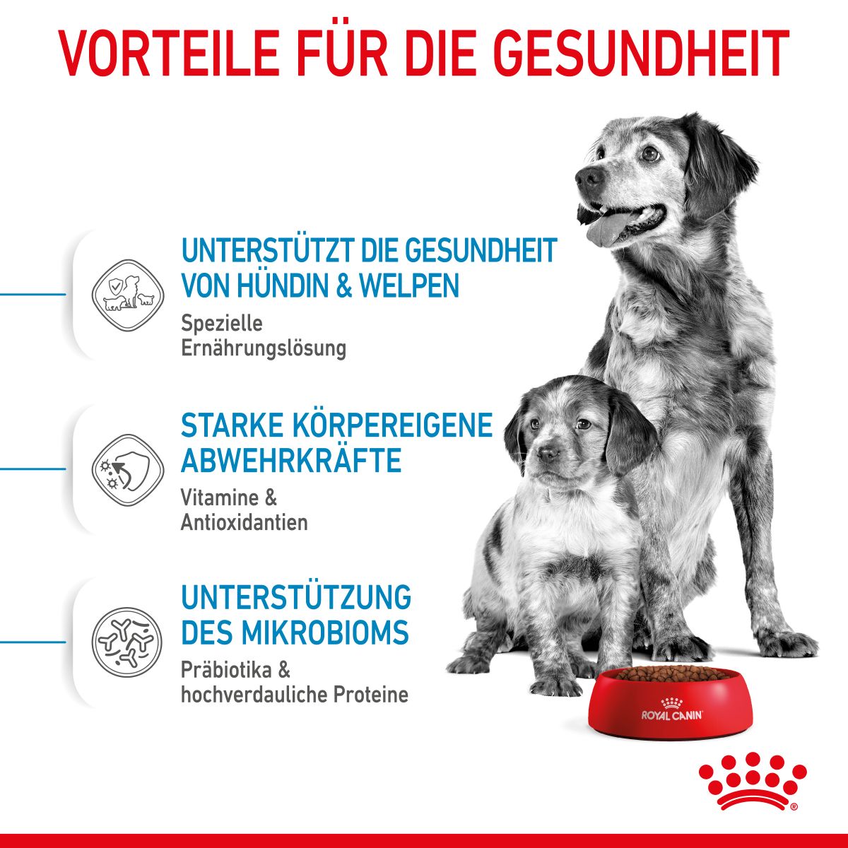  Royal Canin Medium Starter Trockenfutter 15 Kg Trockenfutter Für Hunde