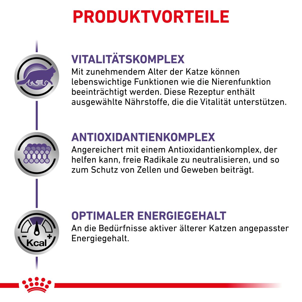  Royal Canin Mature Consult Katze Frischebeutel 12 X 85 G Frischebeutel Für Katzen