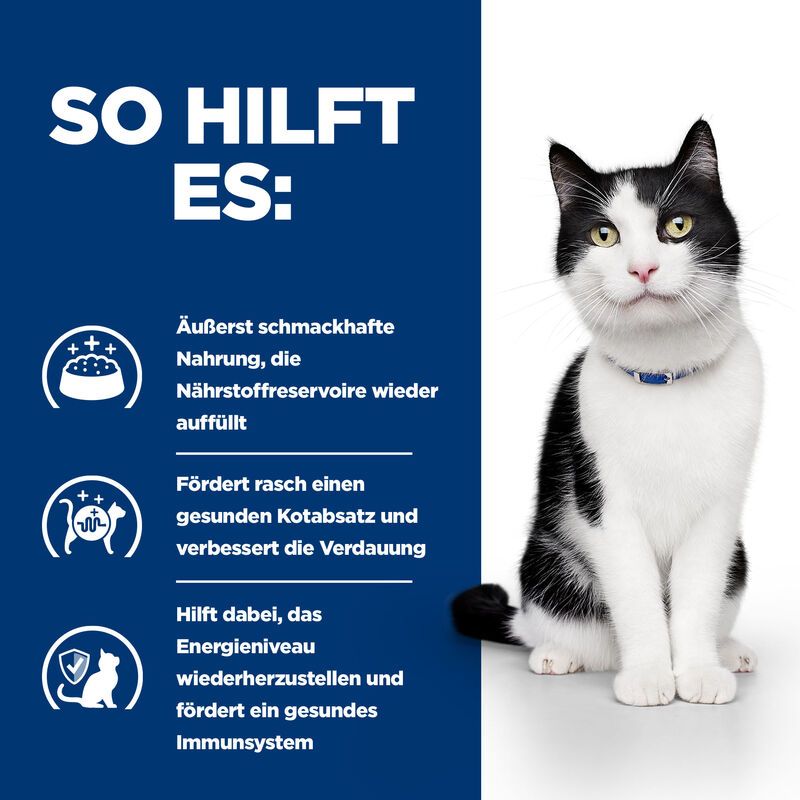  Hills I/d Mit ActivBiome+ Ragout In Dosen Für Katzen 24 X 82 G Ragout Mit ActivBiome+ In Dosen Für Katzen