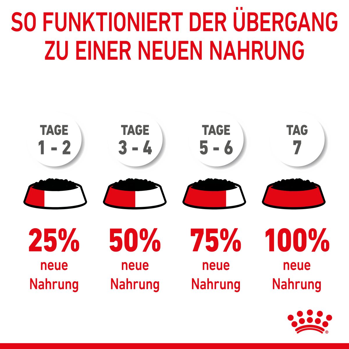  Royal Canin Kitten Second Age Für Kätzchen Bis Zum 12. Monat 12 X 85 G In Soße Frischebeutel