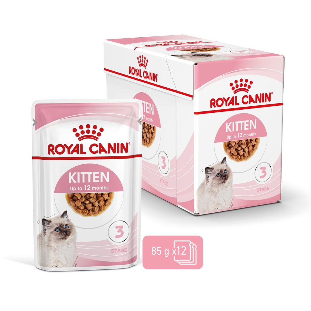  Royal Canin Kitten Second Age Für Kätzchen Bis Zum 12. Monat 12 X 85 G In Soße Frischebeutel