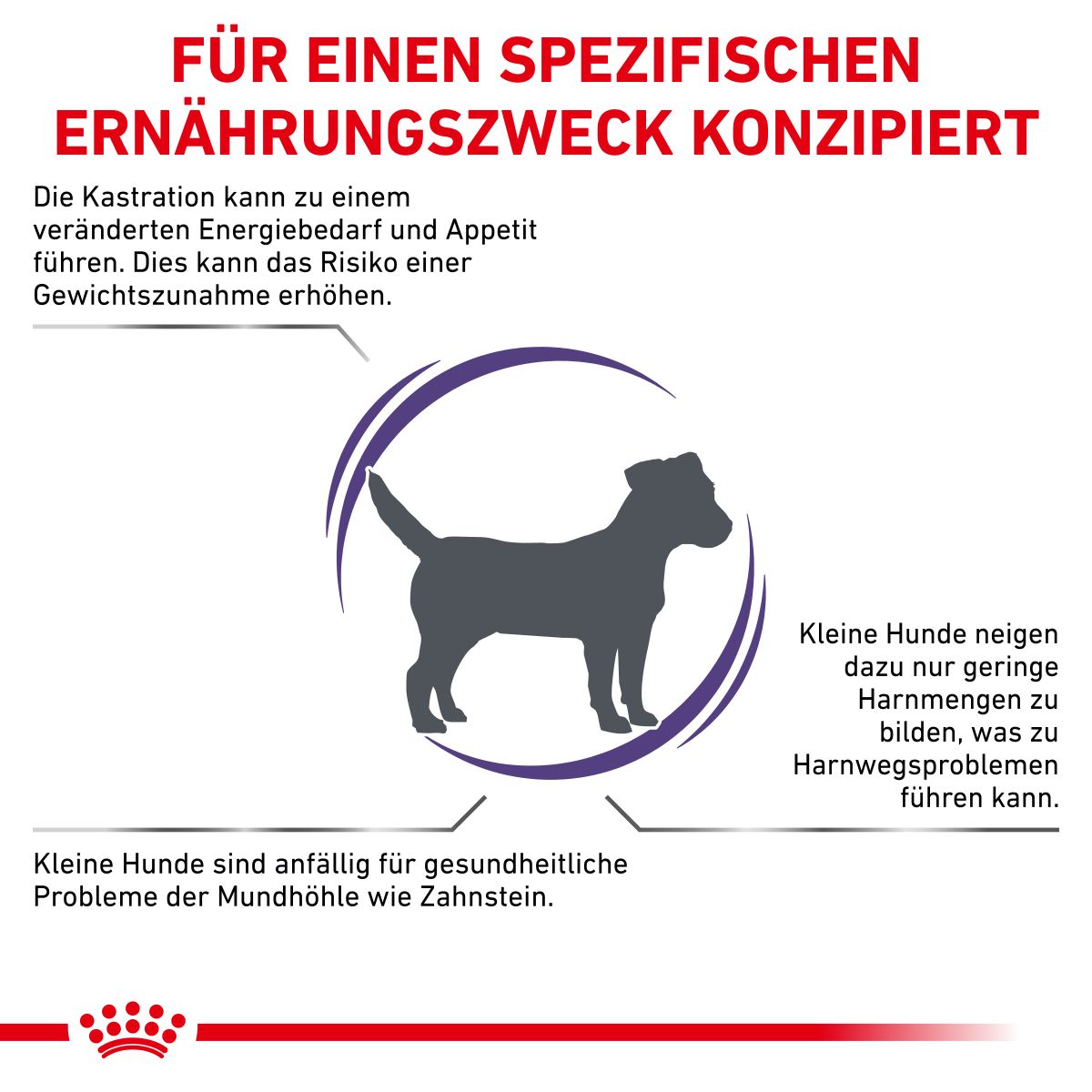  Royal Canin Neutered Adult Small Dogs Hundefutter 1,5 Kg Hundefutter