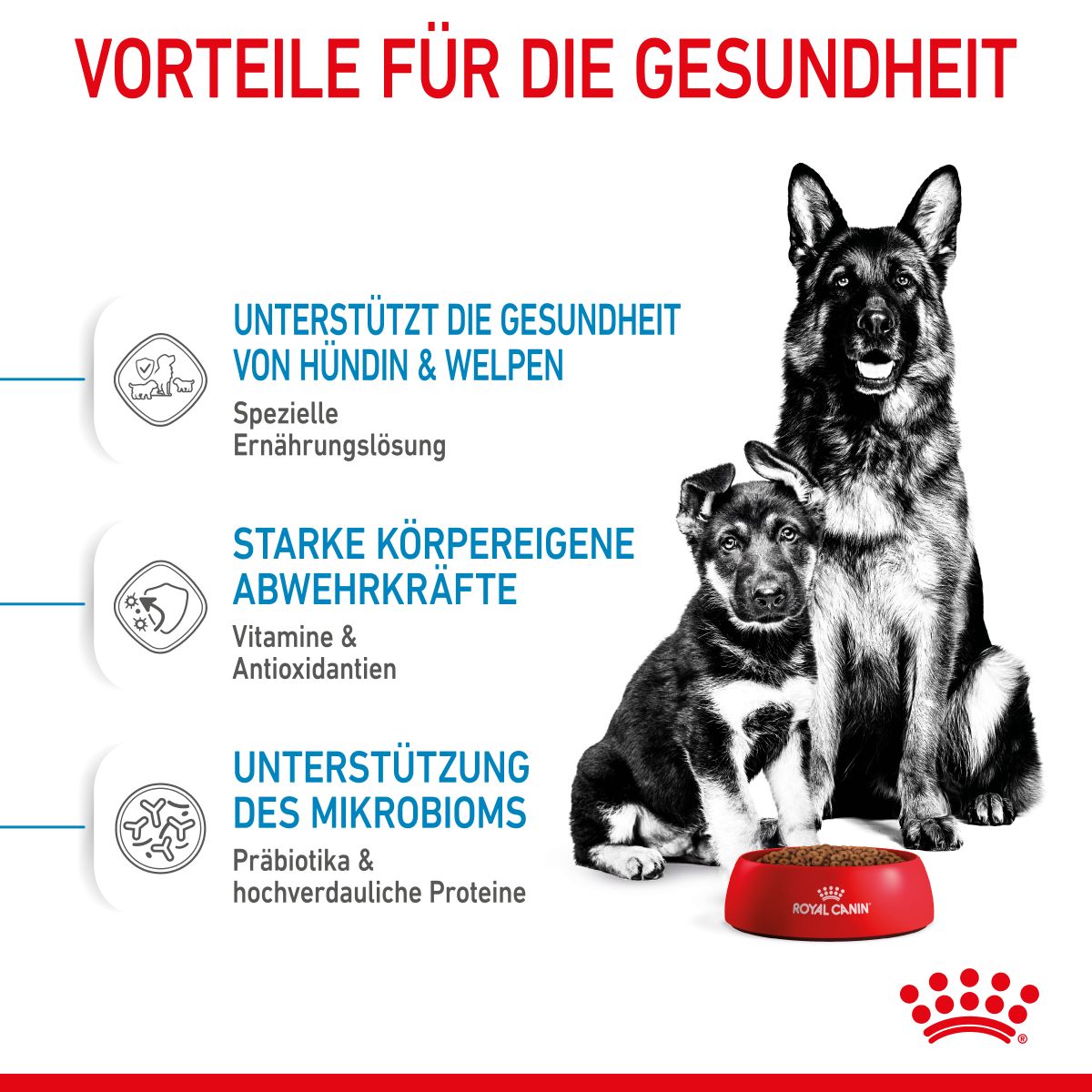  Royal Canin Maxi Starter Trockenfutter 15 Kg Trockenfutter Für Hunde
