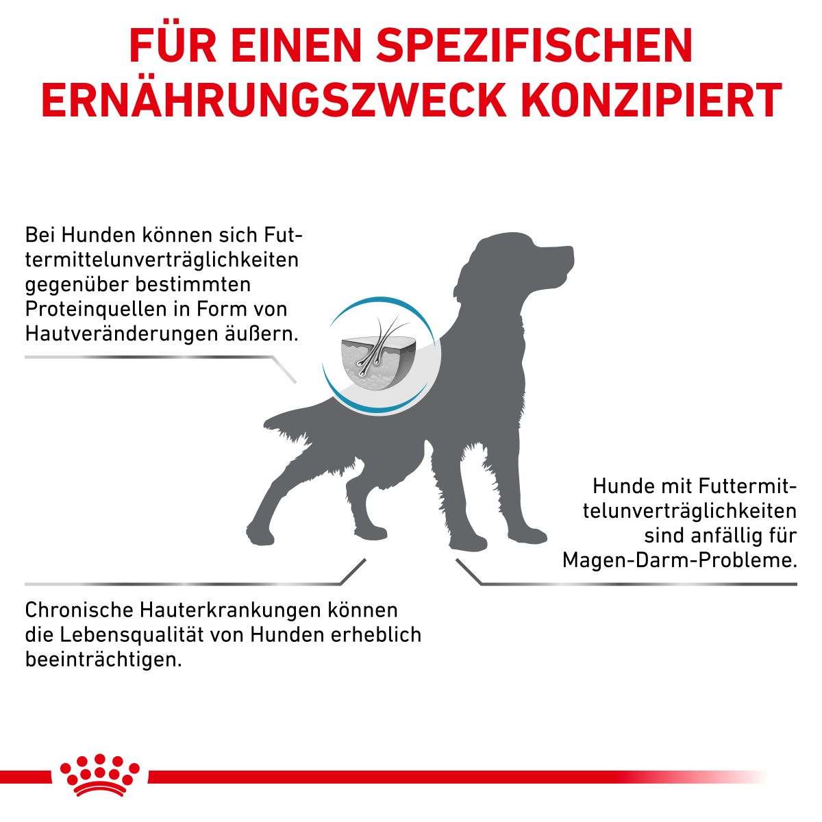  Royal Canin Hypoallergenic Hundefutter 2 Kg Trockenfutter Für Hunde