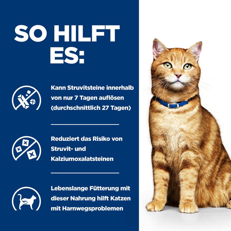  Hills C/d Multicare Feline Dosenfutter Für Katzen 24 X 156 G Feingehackt Dosenfutter Für Katzen