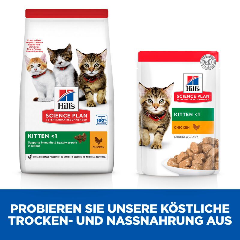  Hills Science Plan Kitten Trockenfutter 1,5 Kg Trockenfutter