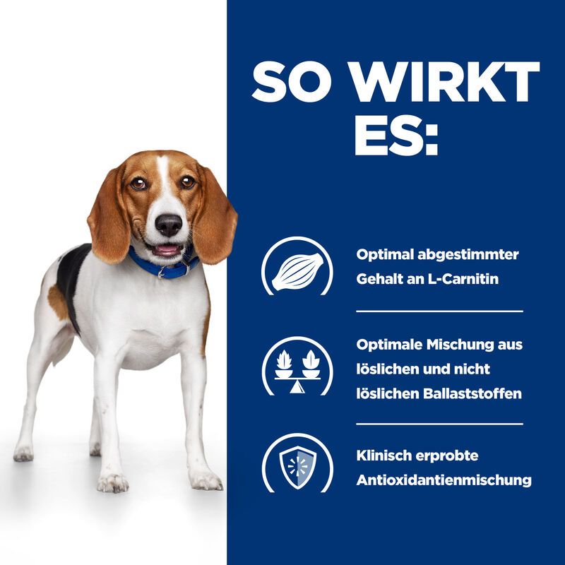  Hills R/d Dosenfutter Für Hunde 12 X 350 G Dosenfutter Für Hunde